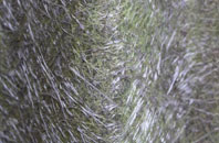 Kilmahog fibreglass roof work